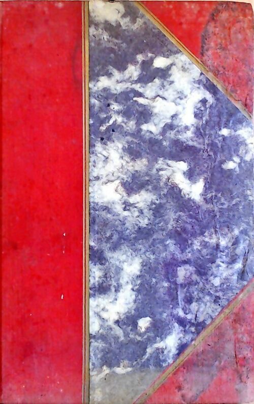 Le journal d'un écolier - M. Fournier - Livre