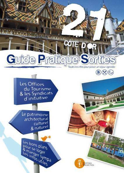 Côte-d'or : Guide pratique sorties 2010-2011 - Collectif - Livre