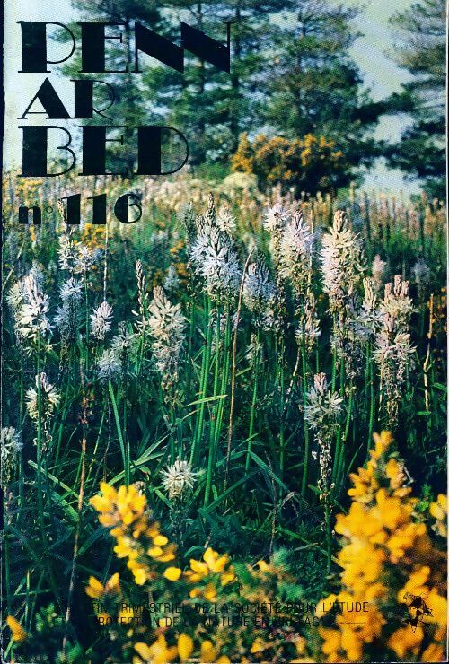 Penn ar bed n°116 - Collectif - Livre