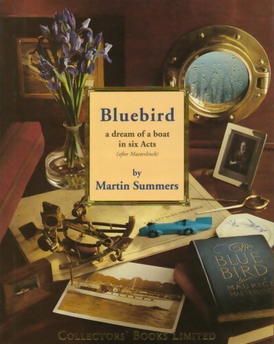 Bluebird - Martin Summers - Livre