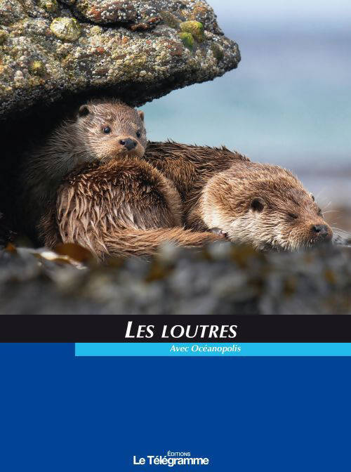 Les loutres - Collectif - Livre