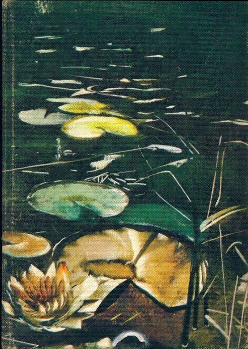 Sarn - Mary Webb - Livre
