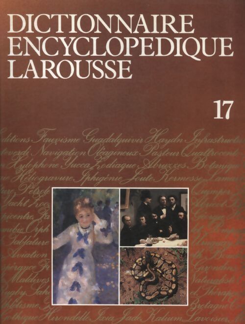 Dictionnaire encyclopédique Tome XVII - Collectif - Livre
