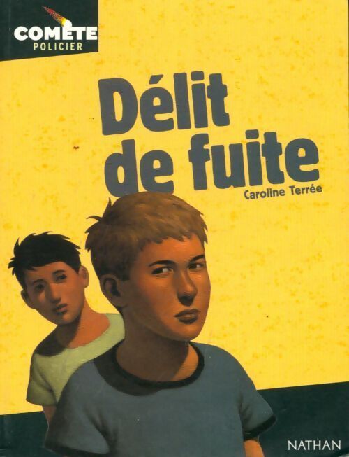 Délit de fuite - Caroline Terrée - Livre