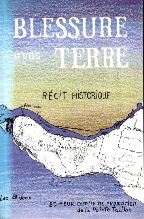 Blessure d'une terre - Collectif - Livre
