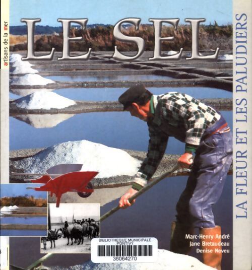 Le sel - Marc-Henry André - Livre