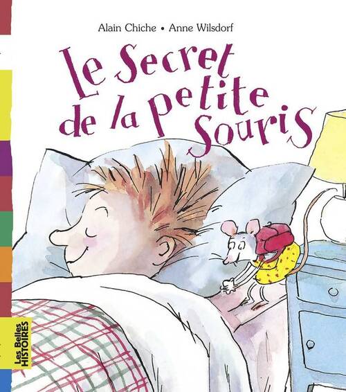 Le secret de la petite souris - Alain Chiche - Livre