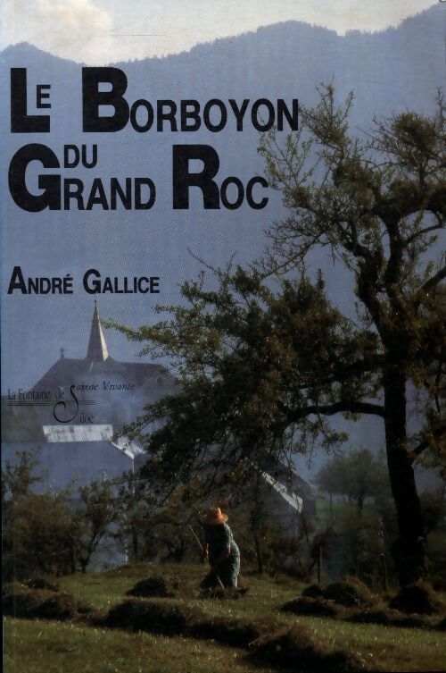 Le Borboyon du grand roc - André Gallice - Livre