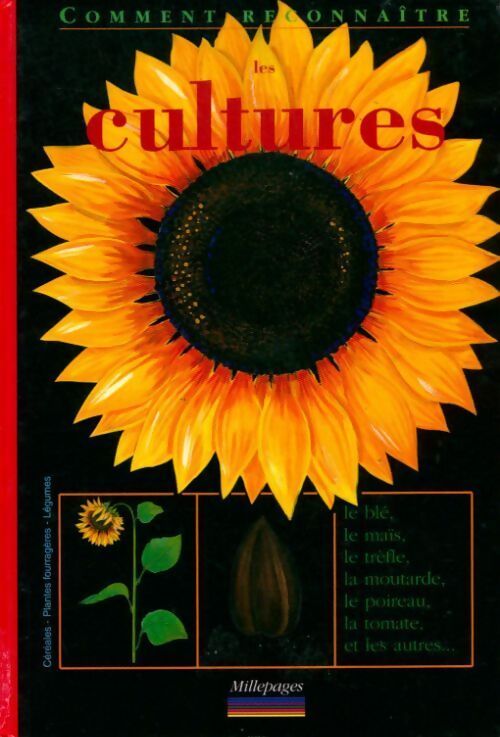 Les cultures - Collectif - Livre