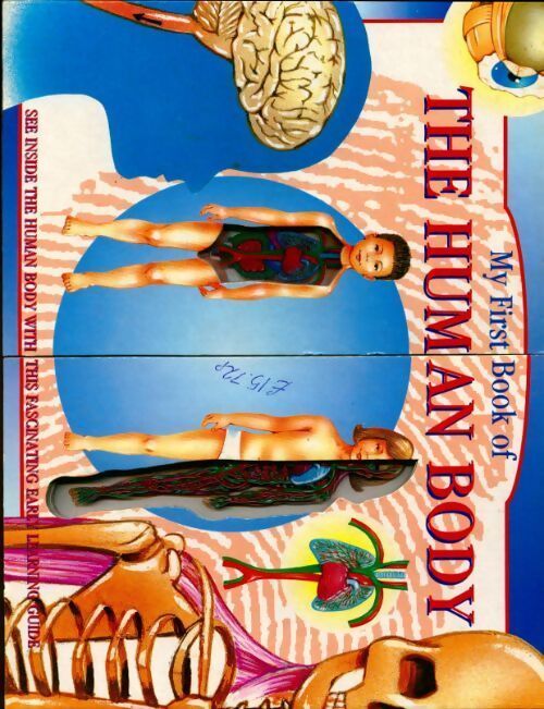 My first book of the human body - Collectif - Livre