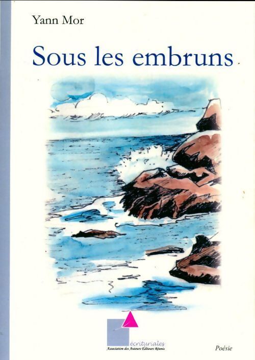 Sous les embruns - Yann Mor - Livre