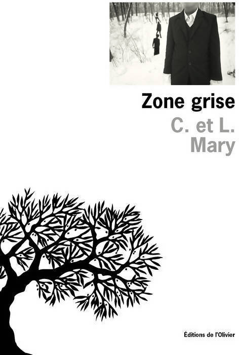 Zone grise - C Mary - Livre