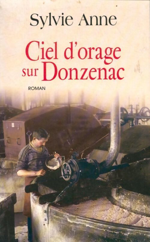 Ciel d'orage sur Donzenac - Sylvie Anne - Livre
