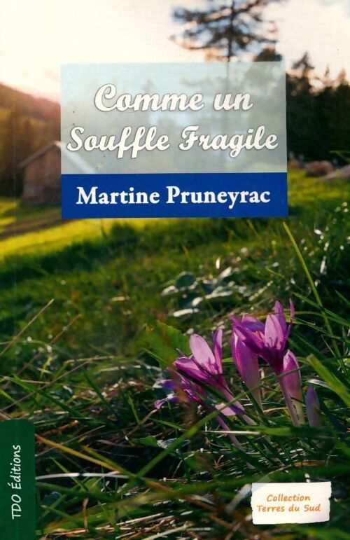 Comme un souffle fragile - Martine Pruneyrac - Livre