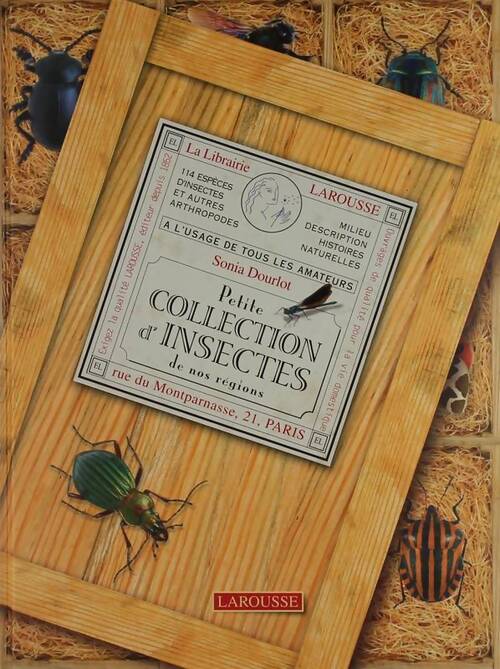 Petite collection d'insectes de nos régions - Collectif - Livre