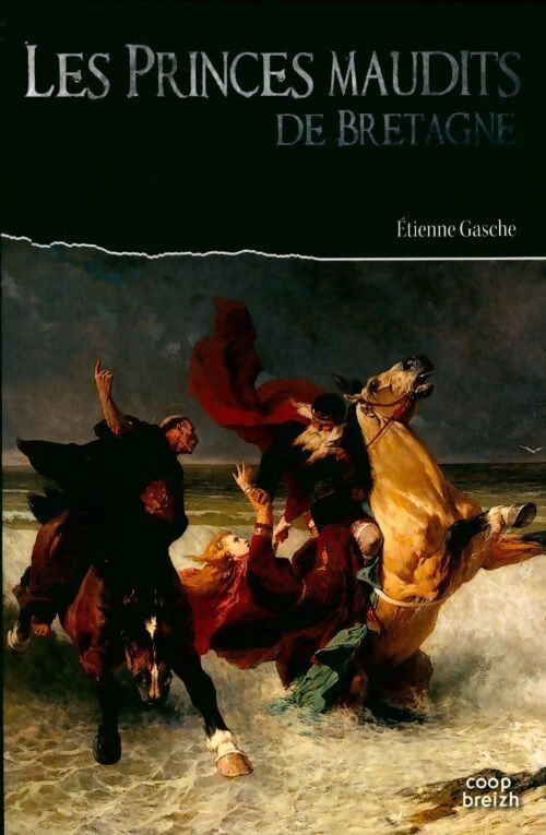 Les princes maudits de Bretagne - Etienne Gasche - Livre
