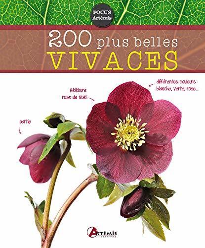 200 plus belles vivaces - Michel Beauvais - Livre