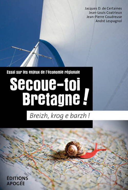 Secoue-toi-bretagne ! essai sur les enjeux de l'économie régionale - Collectif - Livre