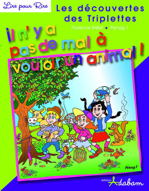 Les découvertes des triplettes Tome III : Il n'y a pas de mal à vouloir un animal ! - Florence Brillet - Livre