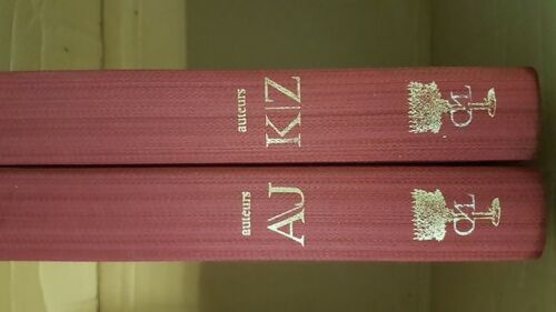 Dictionnaire de culture universelle : auteurs (2 vols.) - Collectif - Livre
