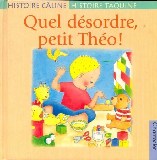 Quel désordre petit théo ! - Brigitte Minne - Livre