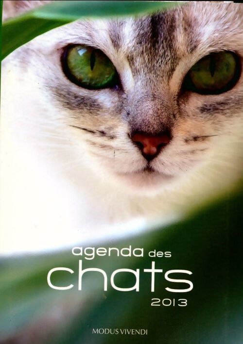 Agenda des chats 2013 - Collectif - Livre
