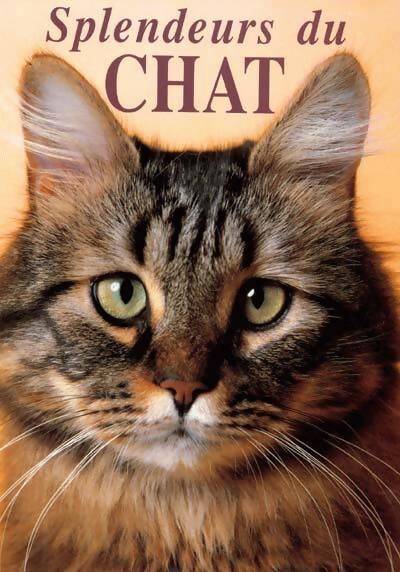 Splendeurs du chat - R De Laroche - Livre