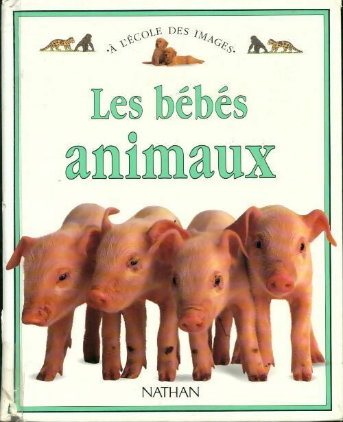 Bébés animaux - Dorling Kindersley - Livre