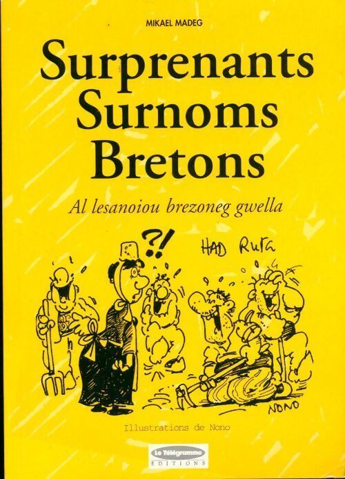 Surprenants surnoms bretons - Mikael Madeg - Livre