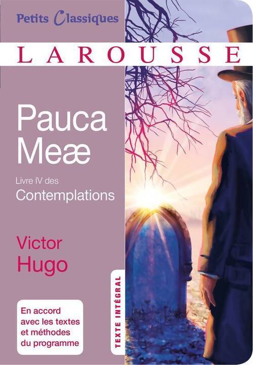 Pauca Meae. Livre IV des Contemplations - Victor Hugo - Livre