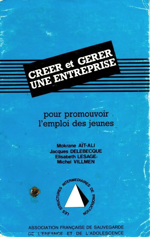 Créer et gérer une entreprise pour promouvoir l'emploi des jeunes - Collectif - Livre