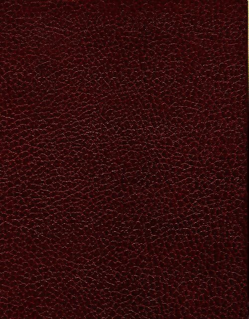 Le nabab - Alphonse Daudet - Livre
