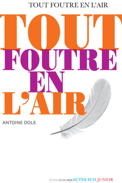 Tout foutre en l'air - Antoine Dole - Livre