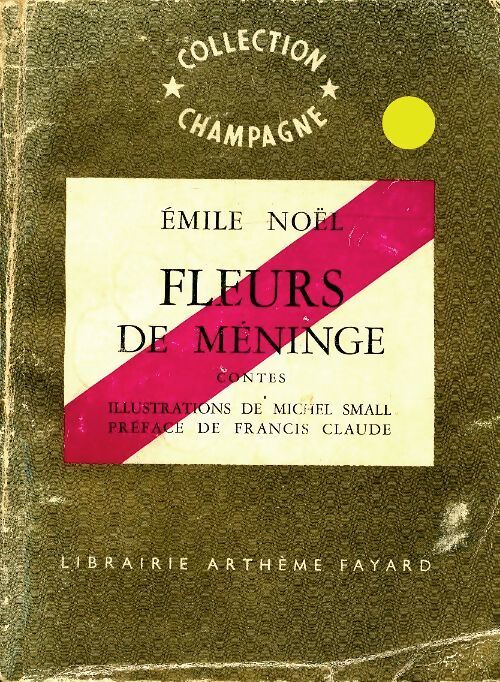 Fleurs de méninge - Emile Noël - Livre