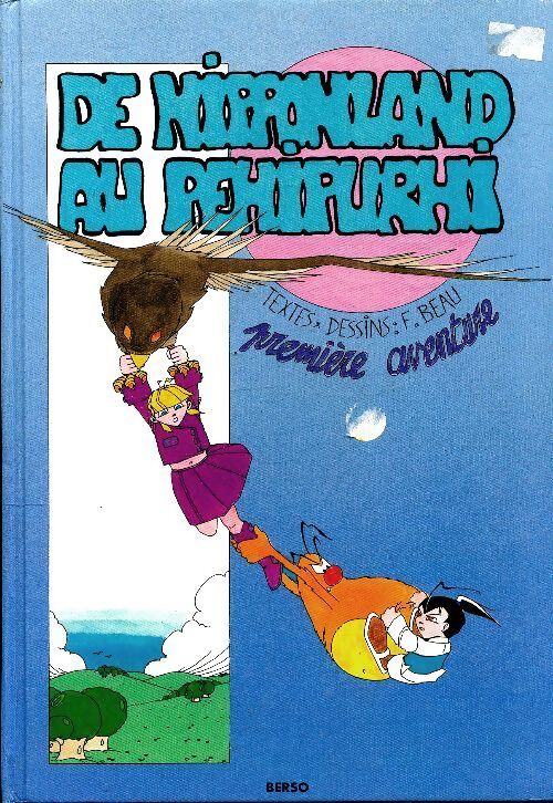 De Nipponland au Pehipurhi - F. Beau - Livre