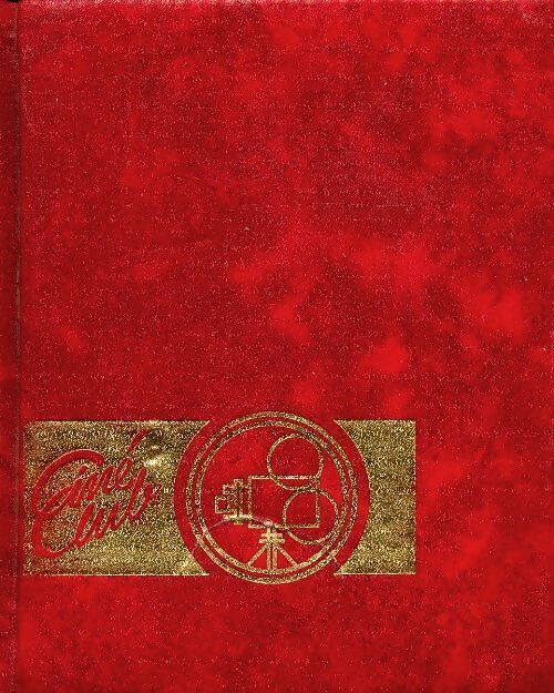 Les bijoutiers du clair de lune - Alain Vidalie - Livre