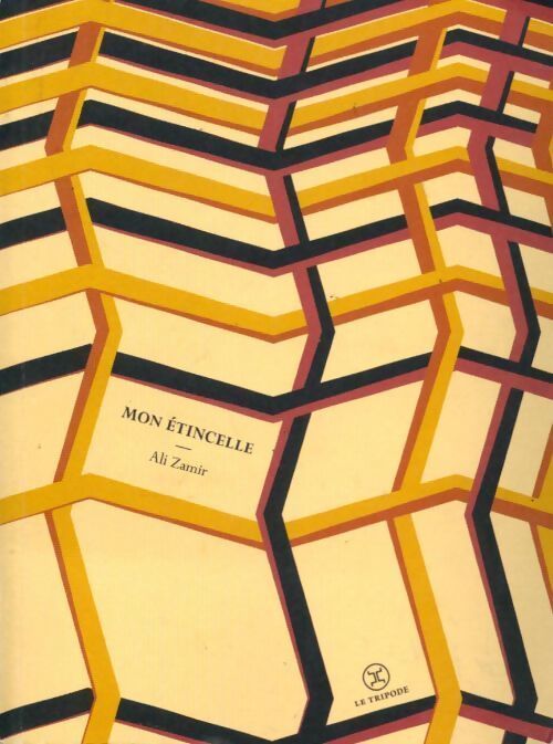 Mon étincelle - Ali Zamir - Livre