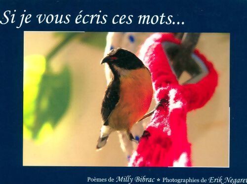 Si je vous écris ces mots... - Milly Bibras - Livre