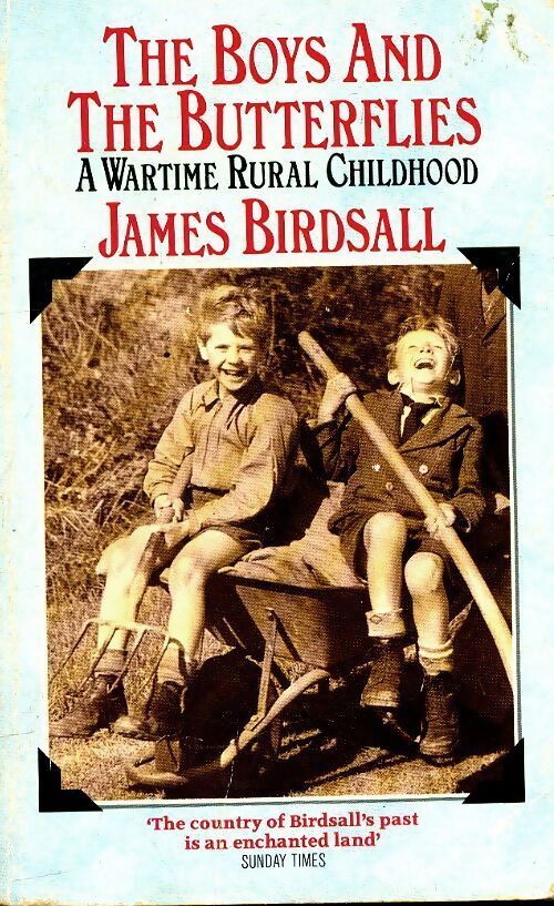 The boys and the butterflies - Jeanne Birdsall - Livre