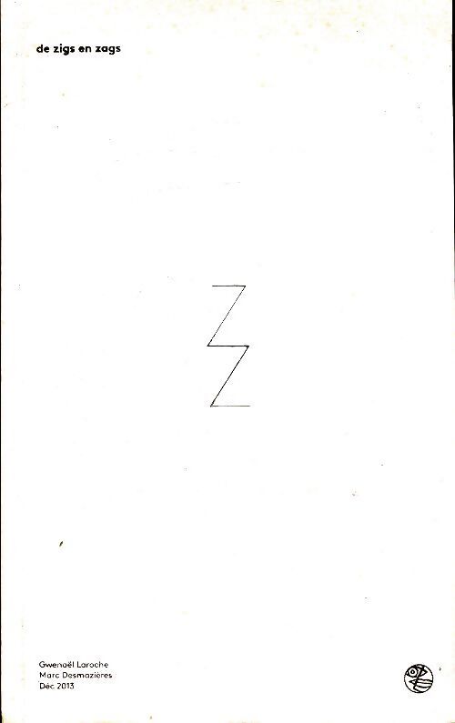 De zigs en zags - Gwenaël Laroche - Livre