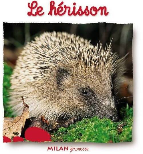Le Hérisson - Natacha Scheidhauer-Fradin - Livre
