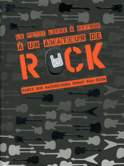 Le petit livre à offrir à un amateur de rock - Matthieu Remy - Livre