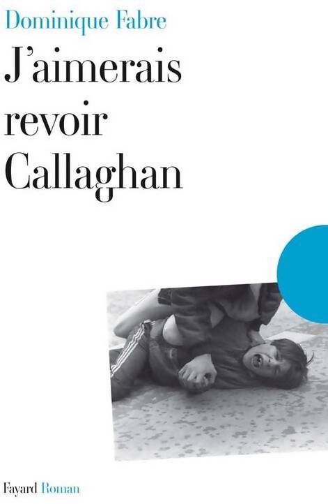 J'aimerais revoir Callaghan - Dominique Fabre - Livre