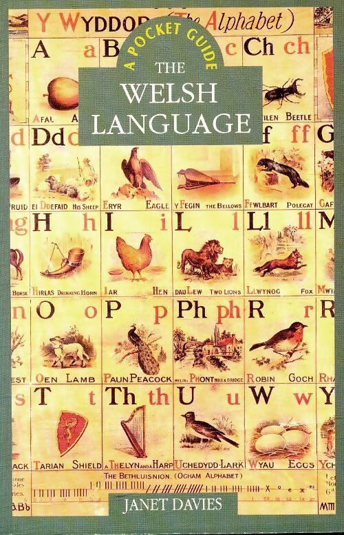 The welsh language - Janet Davies - Livre