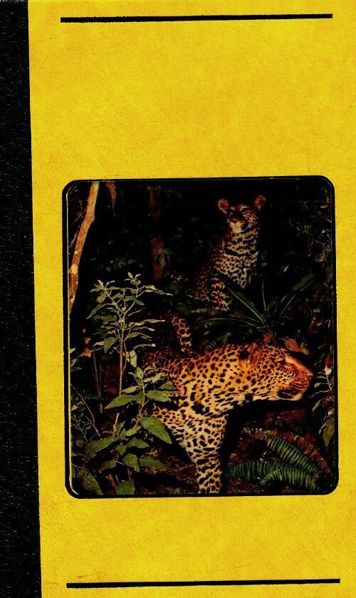 Les plus belles histoires d'animaux Tome II - Yvonne David-marescot - Livre