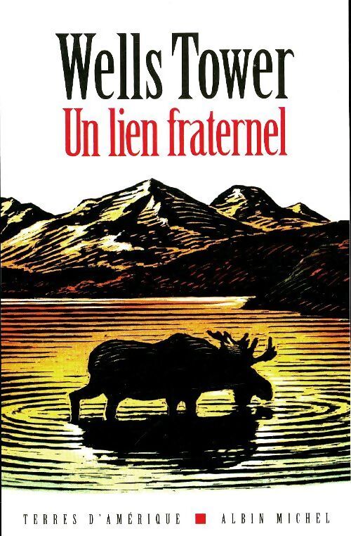 Un lien fraternel - Wells Tower - Livre