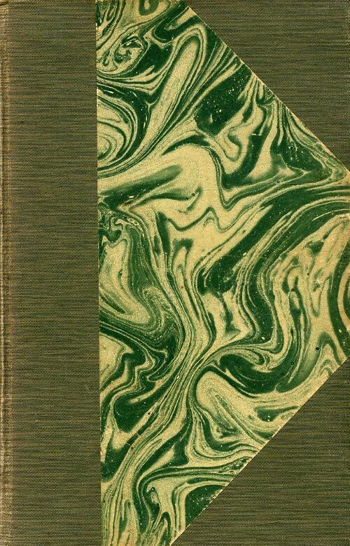 Le fils légitime - Joseph-Henry Rosny Ainé - Livre
