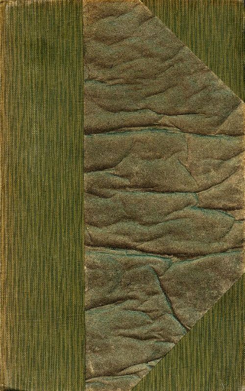 L'amour en Amérique - Ferri-Pisani - Livre