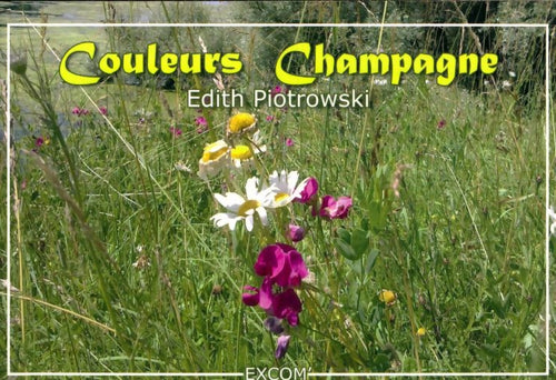 Couleurs champagne - Edith Piotrowski - Livre