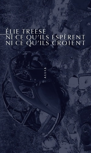 Ni ce qu'ils espèrent, ni ce qu'ils croient - Elie Treese - Livre